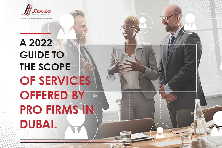 a 2022 guide to the scope of services offered by pro firms in dubai