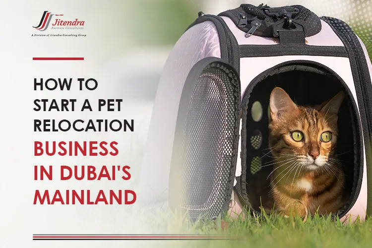 How to start a pet relocation business in Dubai's mainland