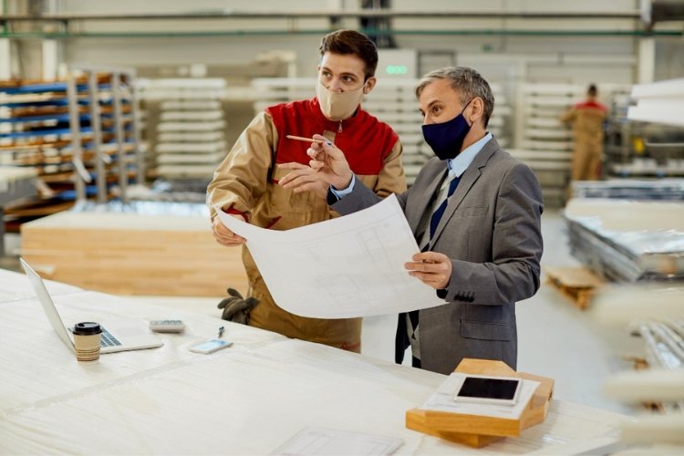 Plywood Manufacturing Business in Dubai